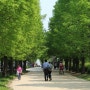 서울 가볼만한 곳 서울숲