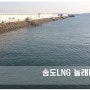 [낚시] 인천 서해 놀래미 낚시 (송도LNG&바다쉼터)