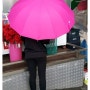 남문 다이소에서 분홍색 ★우산★을 샀어요