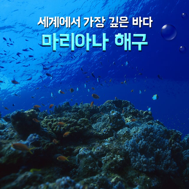 마리아나 해구, 세계에서 가장 깊은 바다 : 네이버 블로그