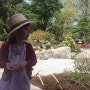보스턴 MFA ... 일본식 젠 스타일의 정원
