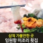 강원도 삼척가볼만한곳 임원항 미조리횟집