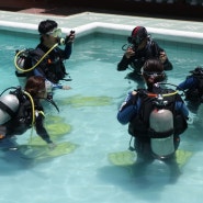 필리핀 보홀 오픈워터 자격증 다이빙 교육