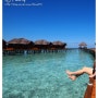 2015.02.27.몰디브(Maldives)- 피할로히 리조트 (Fihalhohi Island Resort) 데이유즈 즐기기