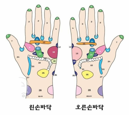 건강을 스스로 다스리는 건강 손지압과 발지압 방법 : 네이버 블로그