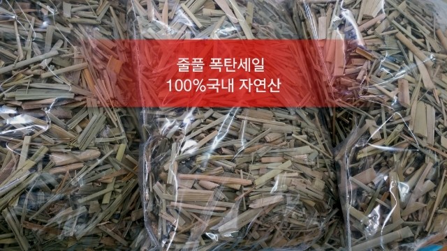 TV무좀-당뇨 -줄풀 효능-줄풀 파는곳-줄풀 판매-줄풀 : 네이버 블로그