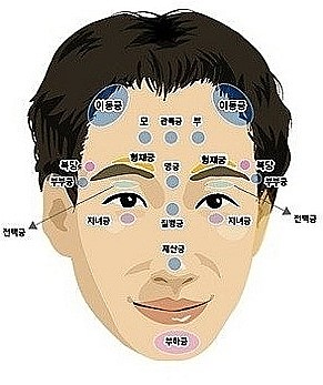 [턱관상]턱의모양,둥근턱,뽀족한턱 사각턱.네모난턱 : 네이버 블로그