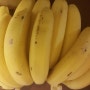 바나나 식초만들기