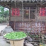 [티웨이 스토리]세계차문화 발원지 중국 사천성 아안 몽정산