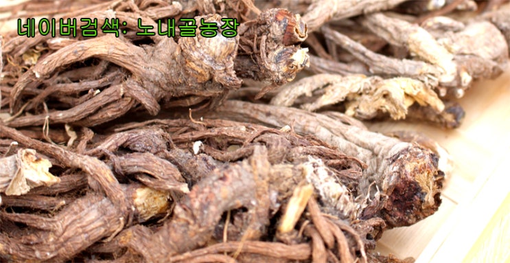 당귀의효능 및 당귀차 끓이는법 : 네이버 블로그