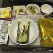 아시아나항공 인천-샌프란시스코 출발! 아시아나항공 기내식 맛있어요:D