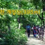 신록 우거진 인천 계양산 둘레길~정상(395m) 등산코스