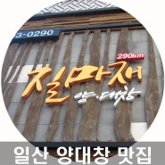 [일산 양대창 맛집]백석동 맛집으로 소문난 질마재 짱!!