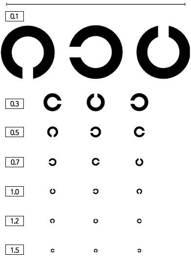집에서 시력검사하는법, 시력검사표 보기 : 네이버 블로그