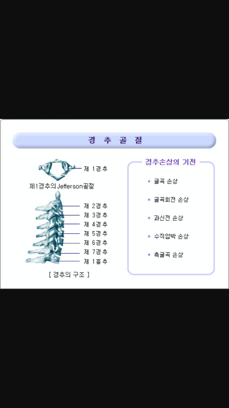 경추골절이란 : 네이버 블로그
