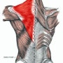 어깨 담걸렸을때. 담걸렸을때 증상 및 담 푸는방법(갈비뼈통증, 어깨뼈통증이나 날개뼈통증 )
