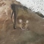 황금 농촌체험 교육농장 천연동굴 박쥐