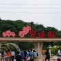 울산대공원 장미원 울산장미축제 다녀오다.