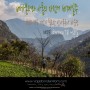 #182 베가본더와 아톰의 자전거 세계일주 - 적응 기간이 필요한 안나푸르나 라운딩 - 네팔 ~681일