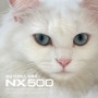 삼성 미러리스카메라 NX500 동영상편