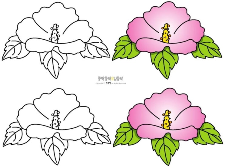 우리나라 무궁화 꽃 이미지 도안 색칠하기 네이버 블로그 8780