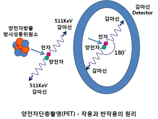 X-ray, CT, MRI, PET의 원리와 동양과학철학 : 네이버 블로그