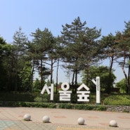 서울 가볼만한곳 추천 - 서울숲 공원 주말 나들이