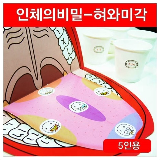 혀와미각, 미각, 혀감각, 미각테스트, 우리몸의구조와기능, 소화순환호흡배설, 단원원리 - 스팀사이언스/스팀과학 : 네이버 블로그