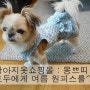 강아지옷쇼핑몰 : 강아지옷은 몽쁘띠에서♡