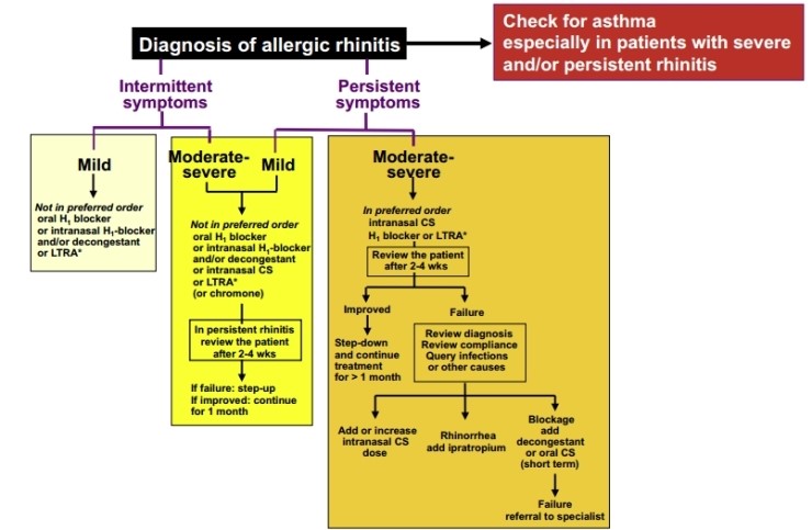 Allergic rhinitis : 네이버 블로그