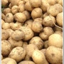 햇 감자수확시기-감자가격&판매-감자 효능
