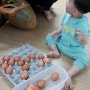계란 담기 놀이