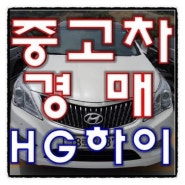 HG하이브리드 프리미엄 2015년식