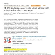 Rh D blood group conversion using transcription activator-like effector nucleases