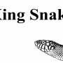 [King Snake] 킹스네이크에 관하여