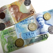 뉴질랜드 환율과 전망 뉴질랜드 달러!