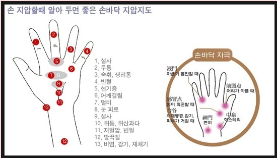 [혈자리 지압/손 지압법/손 혈자리 지압법]청나라 황제들이 애용한 손 지압법 : 네이버 블로그