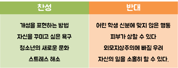 [찬반토론주제] 청소년이 화장을 해도 되는가? : 네이버 블로그