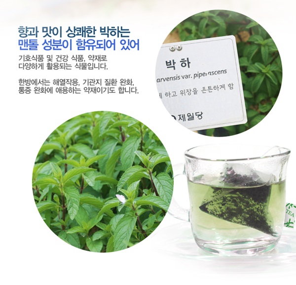 수험생에게 좋은 박하차 효능, 각성효과 가진 천연 에너지음료 : 네이버 블로그