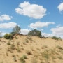 우즈베키스탄의 추억 / 5. 사막의 아름다움-크즐쿰 사막