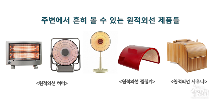 생육광선이란 생명을 낳고 기르는 유일한 빛 : 네이버 블로그