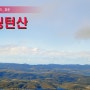 [태즈매니아]첫번째 여행지 웰링턴산~
