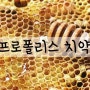 [구강 건강] 네이쳐스케어 / 콤비타 프로폴리스 치약