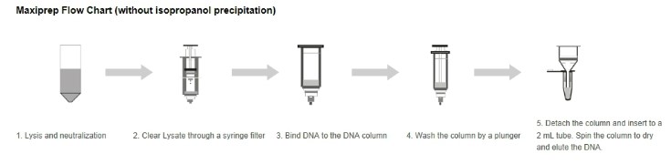 단종[bimake] 40min Fast Plasmid Maxiprep Kit - Syringe Format (B22213 ...