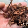 숲속의 작은 친구들 BABUR 인천점 / 코코넛 매트 및 B품 균사 업데이트
