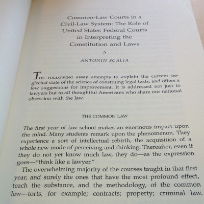 책 A Matter of Interpretation: Federal Courts and the Law : 네이버 블로그