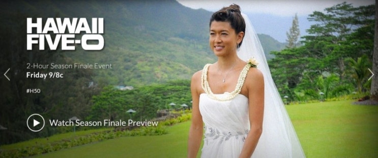하와이 파이브 오(Hawaii Five-0) 시즌5 24화(Episode 24: Luapo'i) 포토 : 네이버 블로그