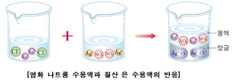 [중학과학]전해질과 이온_2) 이온의 반응과 검출 : 네이버 블로그
