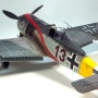 1/48 Hasegawa Focke wulf Fw-190A5/U12 Lt' Erich Hondt