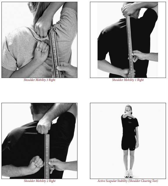 Shoulder mobility reaching movement pattern : 네이버 블로그